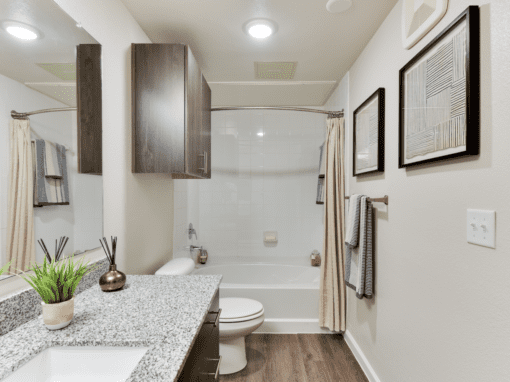 Eastridge Apartments Bathroom