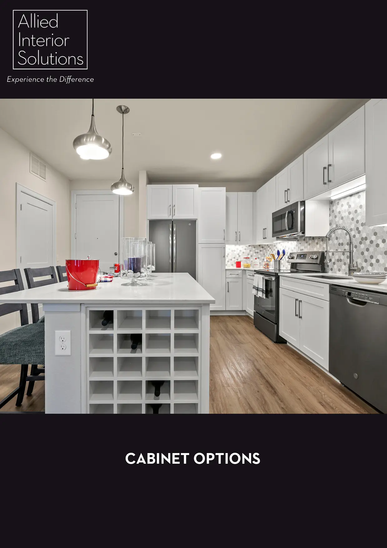 CABINET-OPTIONS PDF download